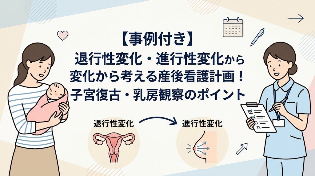 【事例付き】退行性変化・進行性変化から考える産後看護計画！子宮復古・乳房観察のポイント